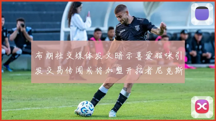布朗社交媒体发文暗示喜爱猫咪引发交易传闻或将加盟开拓者尼克斯雷霆湖人