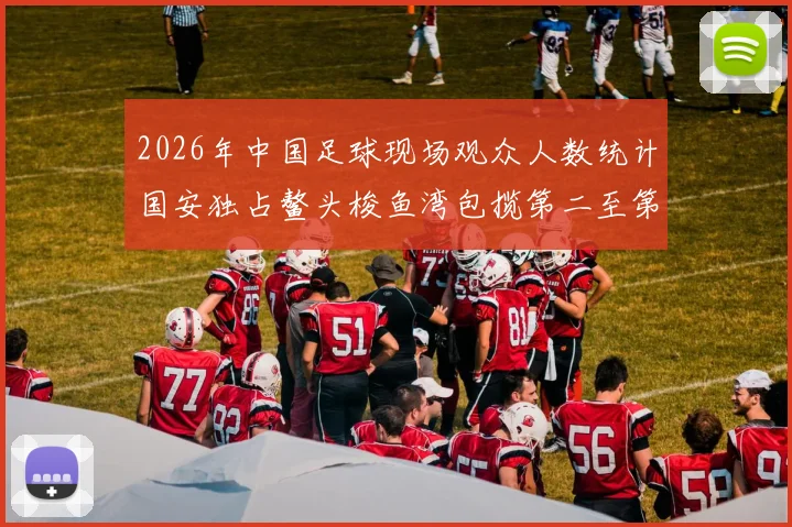 2026年中国足球现场观众人数统计国安独占鳌头梭鱼湾包揽第二至第七位