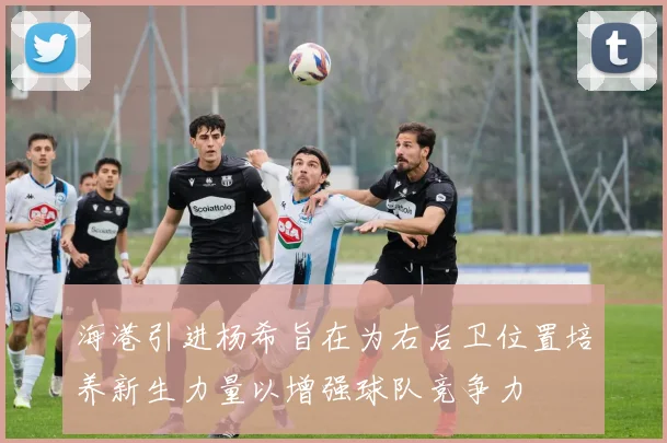 海港引进杨希旨在为右后卫位置培养新生力量以增强球队竞争力