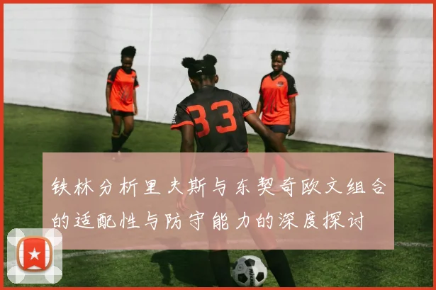 铁林分析里夫斯与东契奇欧文组合的适配性与防守能力的深度探讨